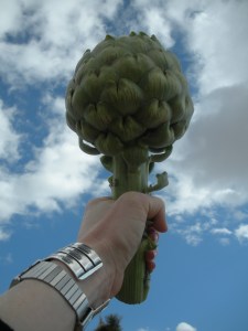 Artichoke