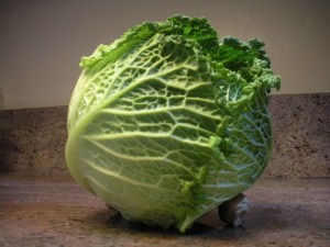 Savoy Cabbage