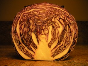 Red Cabbage