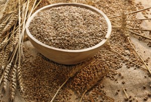 Wheat berries