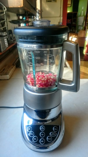 FFF Pomegranate Blender