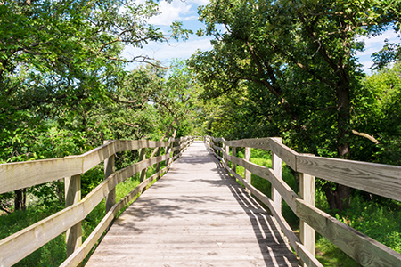 Iowa walkway